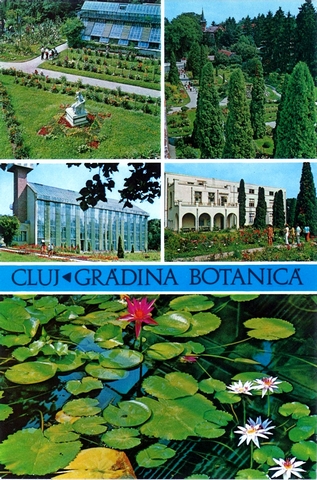1433 - Cluj. Gr[dina botanica